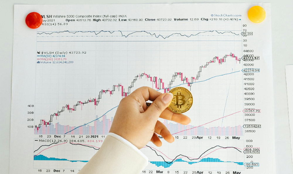 如何投资理财新手小白每月500元也能滚出小金库